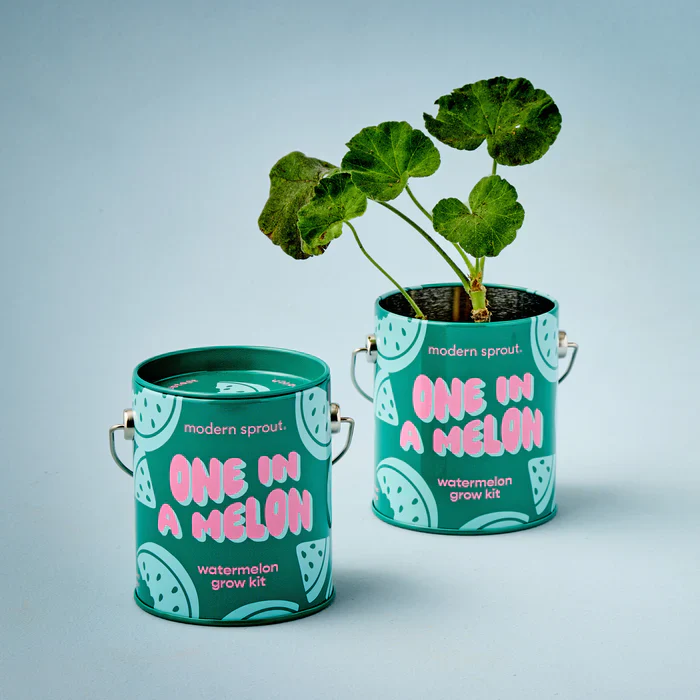 Complimentary Color Grow Kits - Image 5