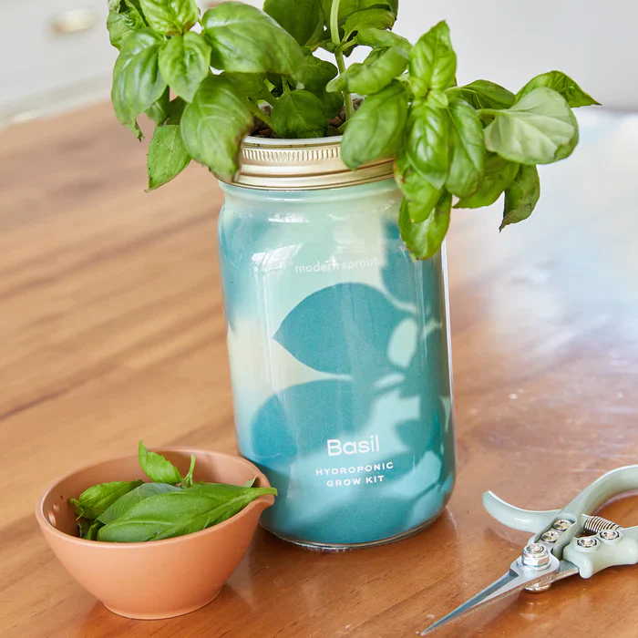 Garden Jars - Image 3