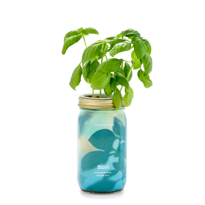 Garden Jars - Image 4