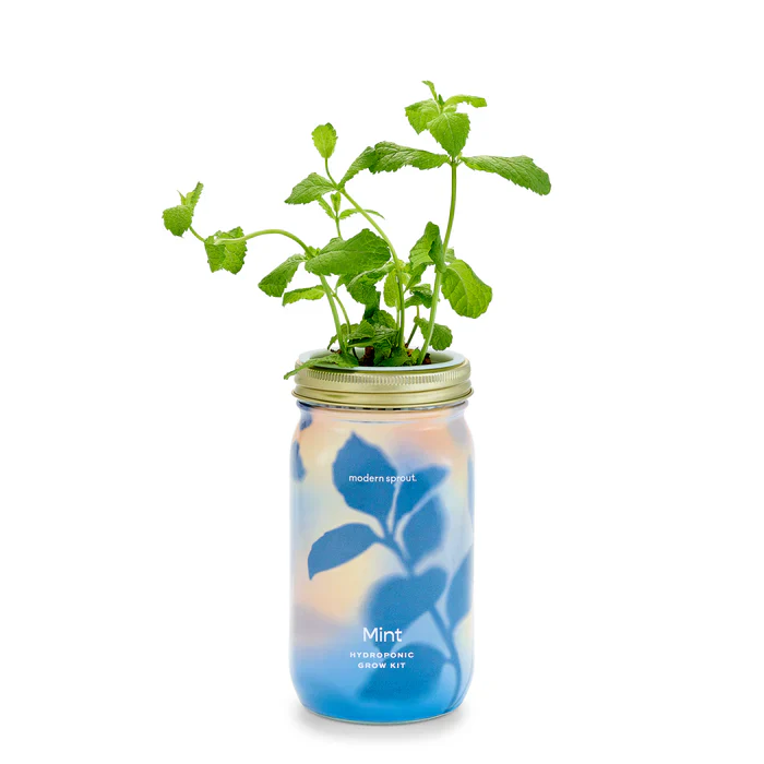 Garden Jars - Image 6